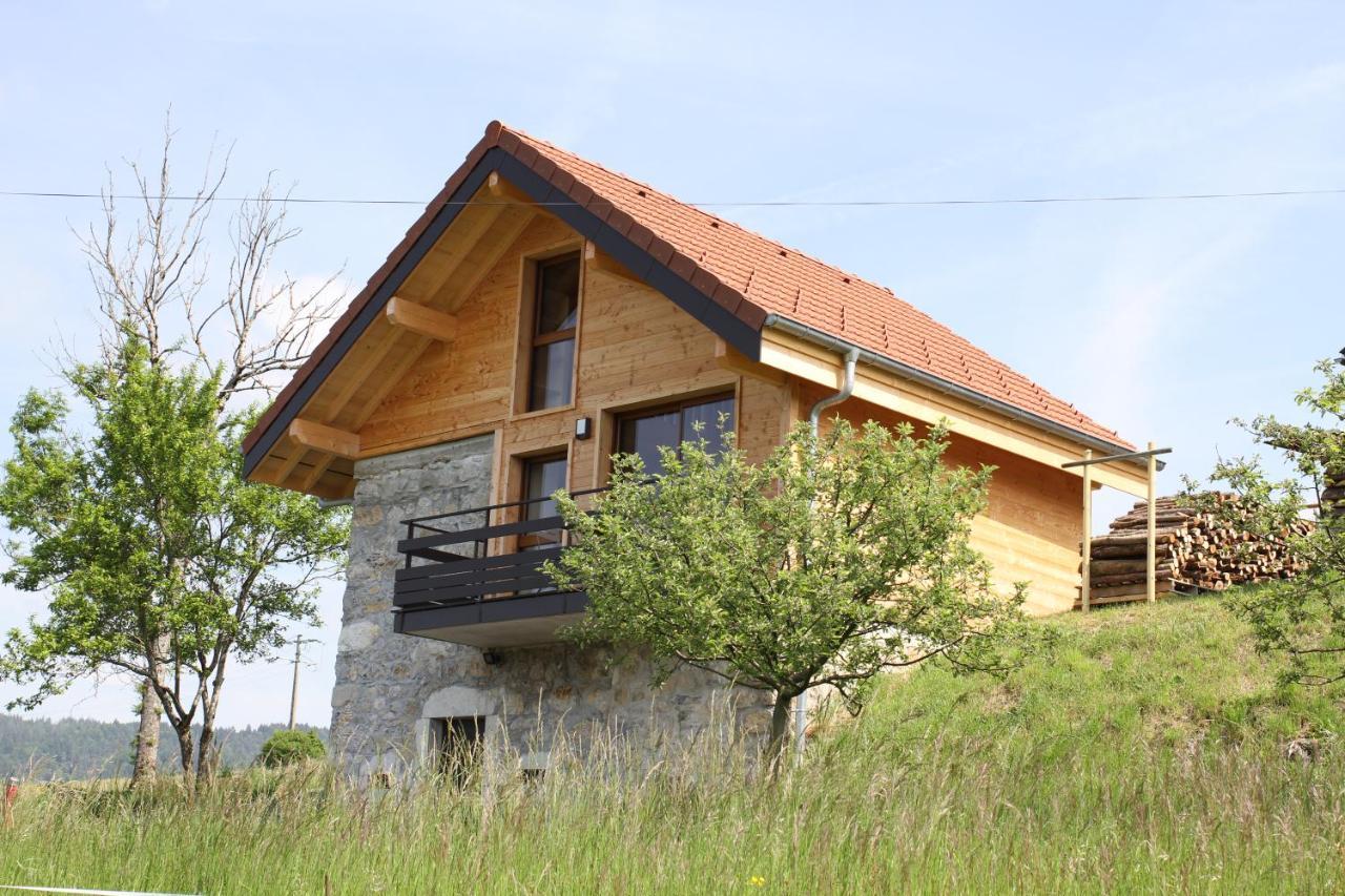 Le Chalet Des Pierres Viuz-en-Sallaz Экстерьер фото
