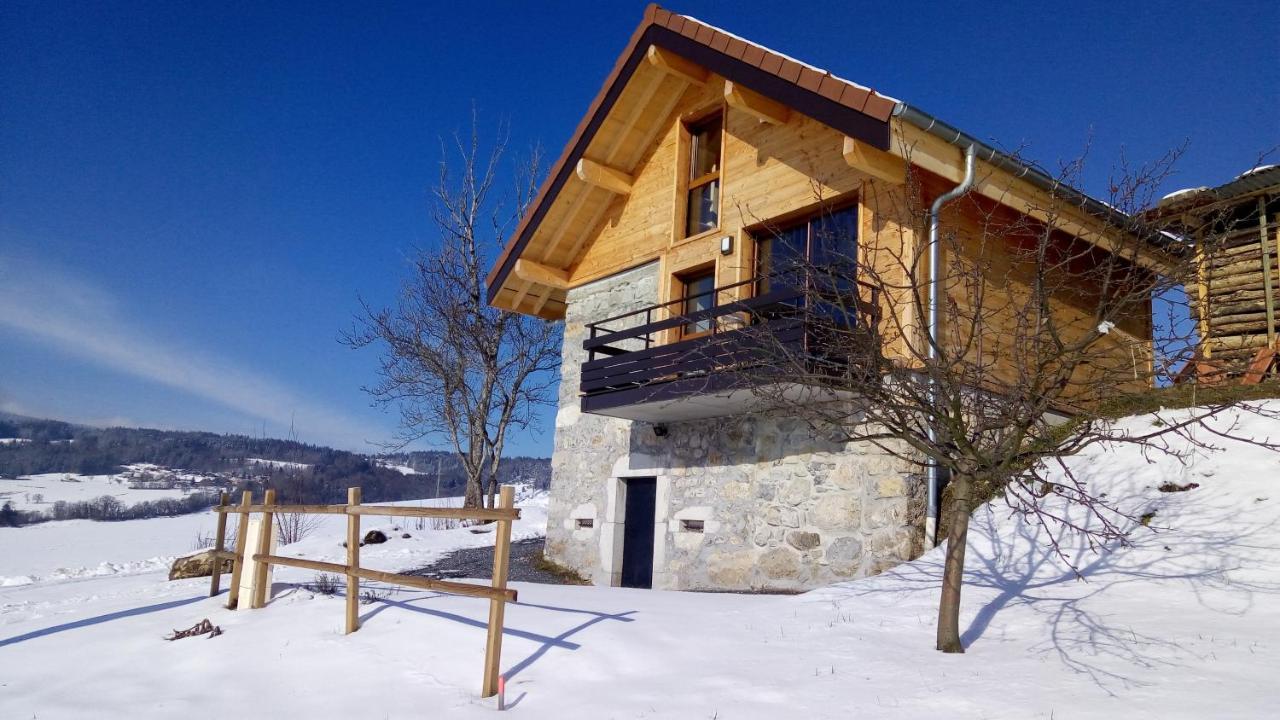 Le Chalet Des Pierres Viuz-en-Sallaz Экстерьер фото
